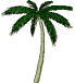 happy palm tree